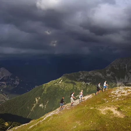 Bouquetin- Cerf * La Plagne